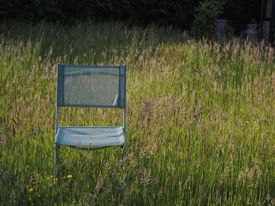 No Mow May -Take Two