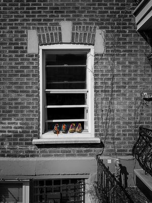 g13/07/892607/3/173374971.609a675a.JPEG