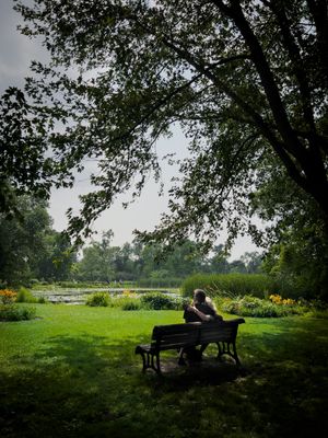 Jardin botanique de Montral