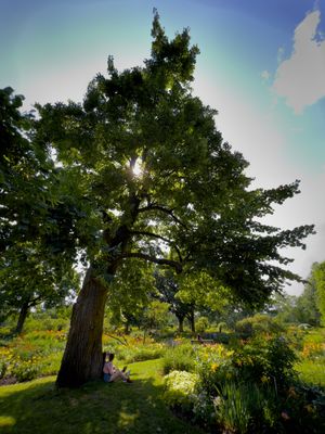 Jardin botanique de Montral  