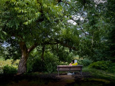Jardin botanique de Montral 