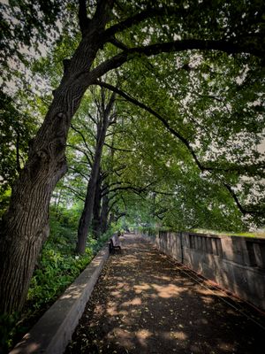 Jardin botanique de Montral 
