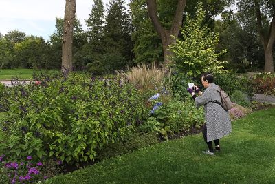 Jardin botanique de Montral 