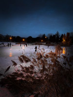 Parc Jarry - Montral