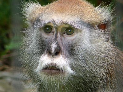 Zoo de Granby