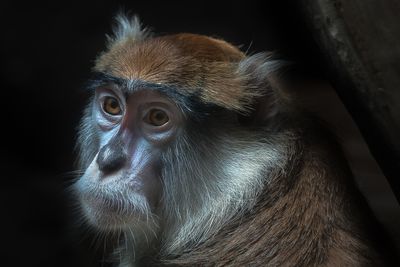 Zoo de Granby