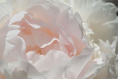 g13/07/892607/3/173949255.6d5751c8.JPEG