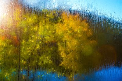 Ste-Anne-des-Lacs  l'automne