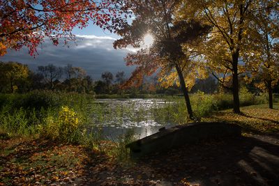 Jardin botanique de Montral 