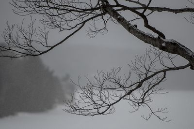 Ste-Anne-des-Lacs en hiver