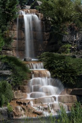 Jardin botanique de Montral 