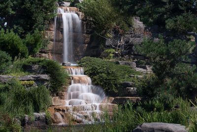 Jardin botanique de Montral 