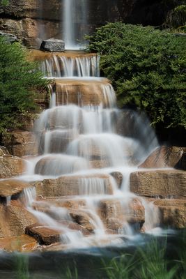Jardin botanique de Montral 