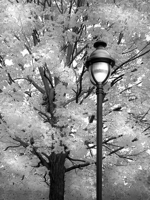 Parc Jarry - Montral