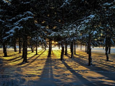 Parc Jarry - Montral 