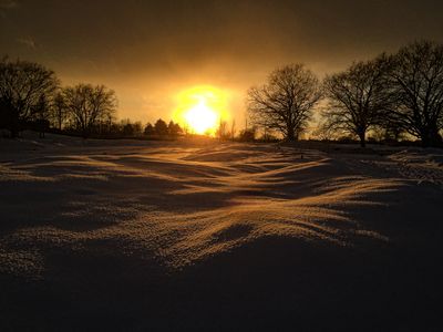 Paysages