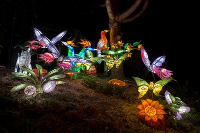 Magie des lanternes - Jardin botanique de Montral 