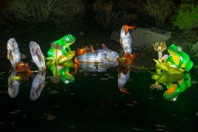 Magie des lanternes - Jardin botanique de Montral 