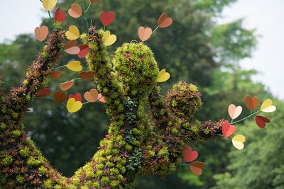 Mosacultures