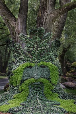 Mosacultures