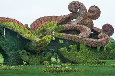 Mosacultures