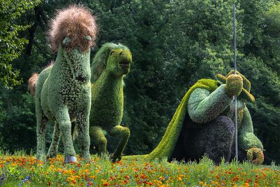 Mosacultures