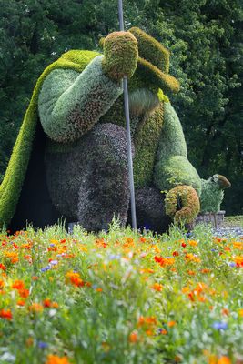 Mosacultures