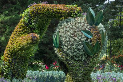 Mosacultures