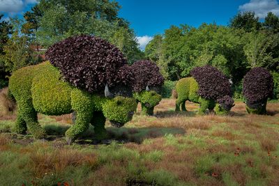 Mosacultures