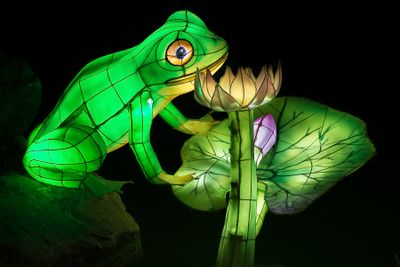 Magie des lanternes - Jardin botanique de Montral 