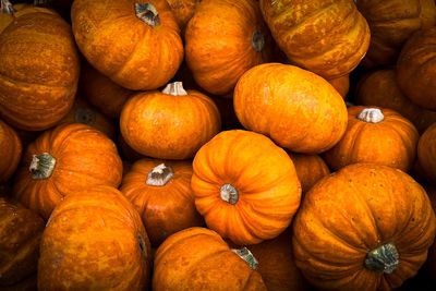Citrouille_12_1200.jpg