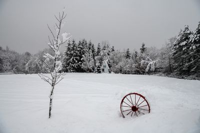 Premire neige - Melbourne, Qubec