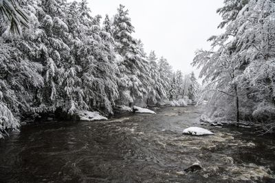 Premire neige - Melbourne, Qubec