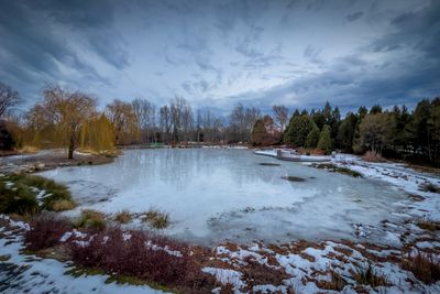 Jardin botanique de Montral
