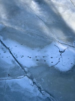 Glace dhiver - Parc-rgional-de-la-Visitation