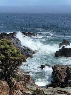 Marginal Way - Ogunquit, Maine
