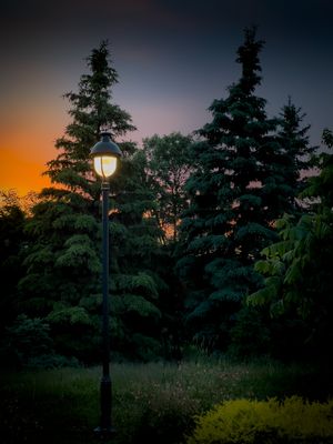 Parc Jarry - Montral 