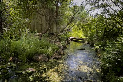 Jardin botanique de Montral