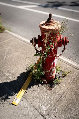 Rue St-Hubert - Montral 