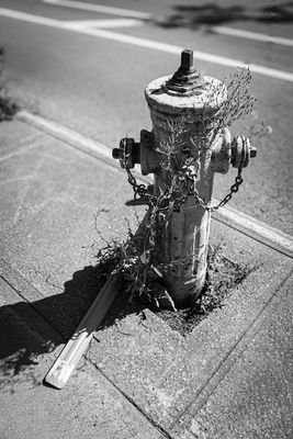 Rue St-Hubert - Montral 