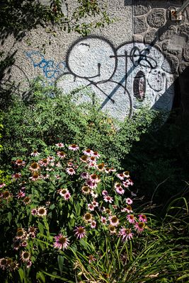 Rue St-Hubert - Montral 