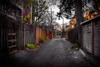 Dans une ruelle de Montral 