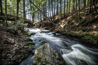 Ruisseau Ely - Canton Brompton, Estrie
