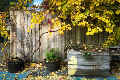 Ruelle, Avenue de Gasp - Montral