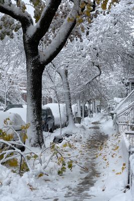 Rue Drolet - Montral 