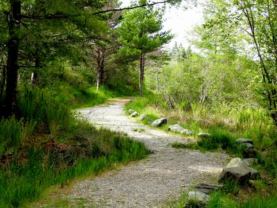 Forchu River Trail