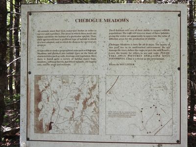 Chebogue Meadows signage