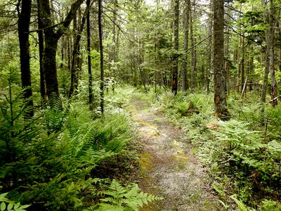 Chebogue Meadows Wilderness Trail