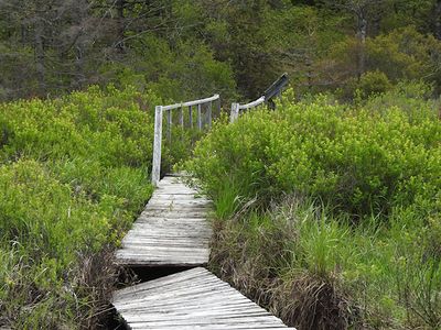 Broken boardwalk at Chebogue Meadows Wilderness Trail
