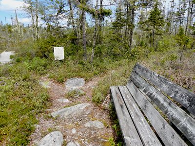 Looking out toward the Tamarack Bog